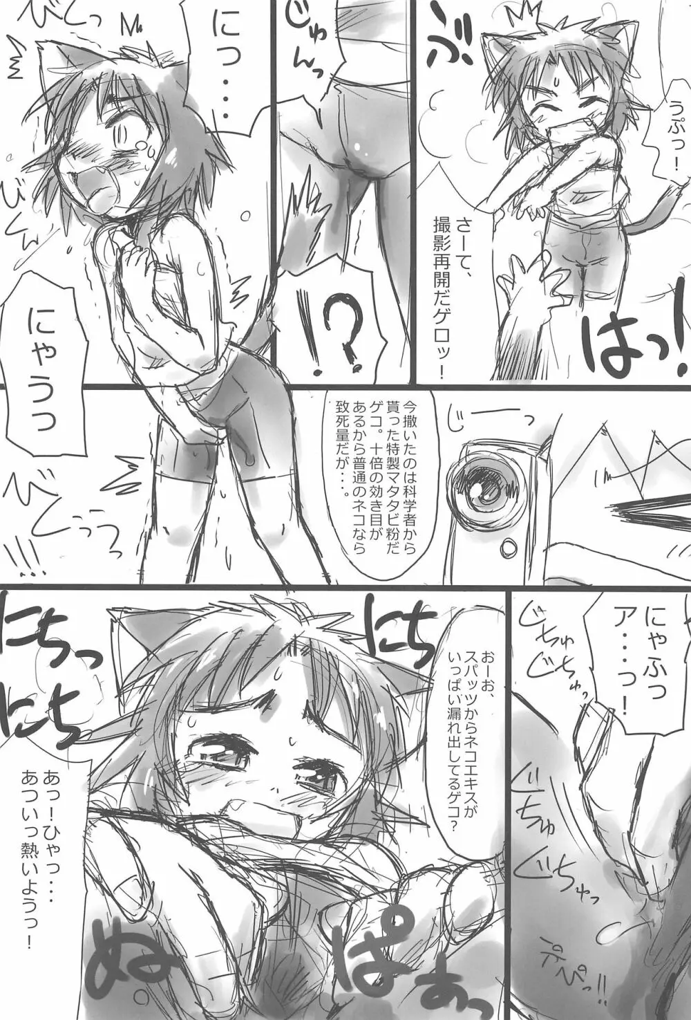 ぬこ娘っぽい Page.13