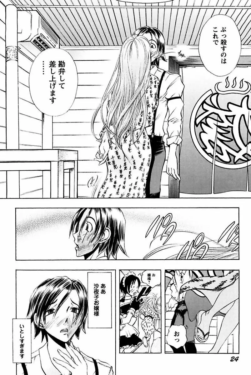 僕のお嬢サマ 淫乳メイド屋敷 Page.26