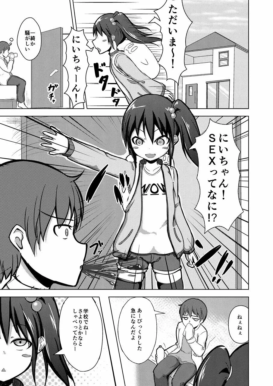 にぃちゃんSEXってなに!? Page.2