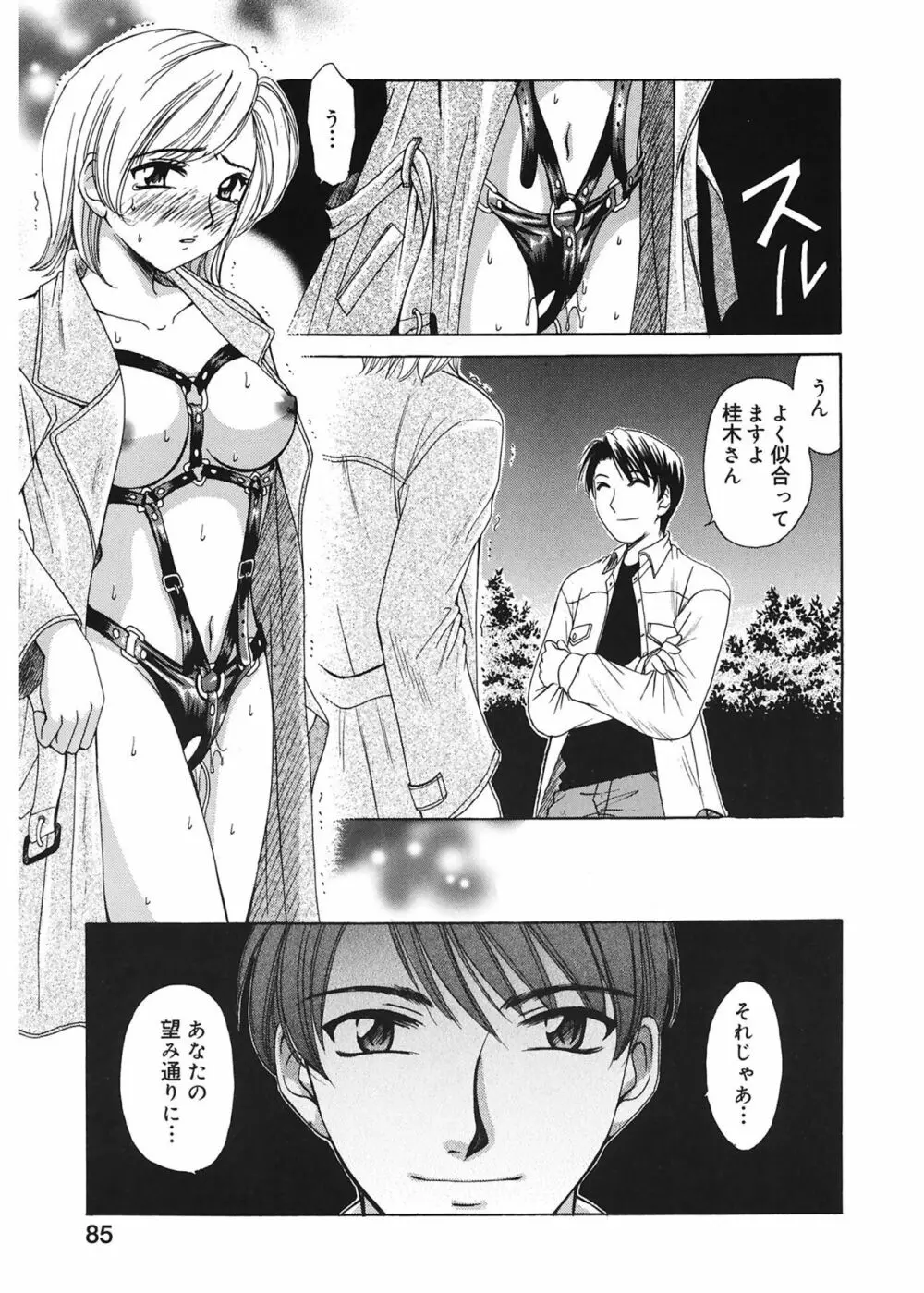 21時の女 ～ニュース・キャスター桂木美紀～ 1 Page.85