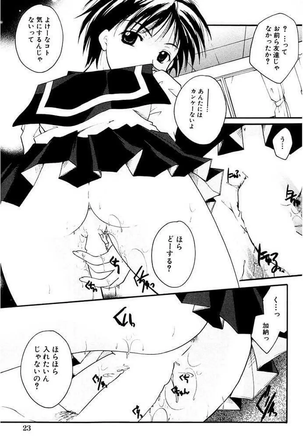 少女図鑑DX Page.24