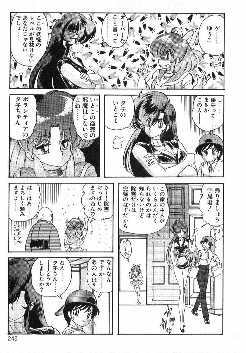 精霊特捜フェアリィセイバー Page.244