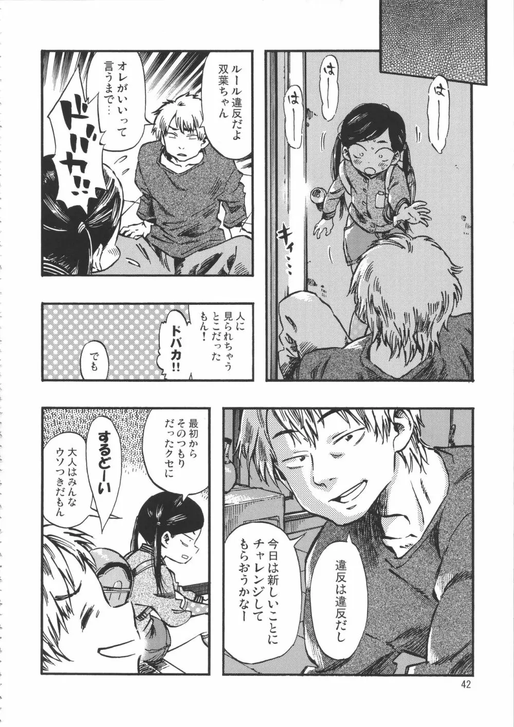 みのり研究所 総集編 2012~2015 Page.41