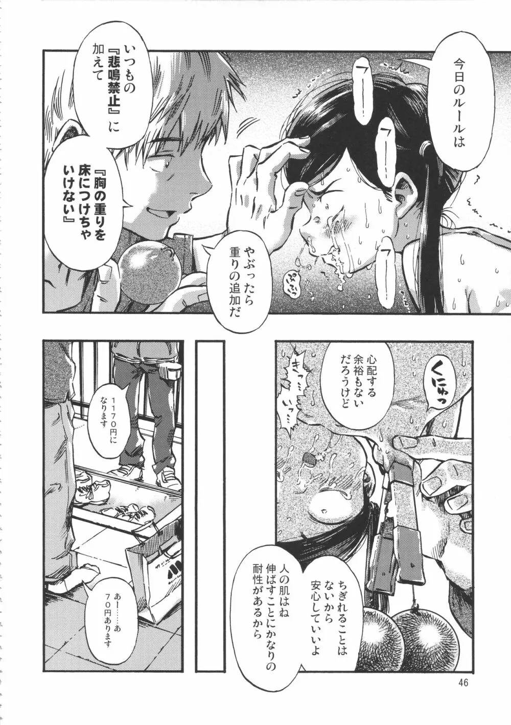 みのり研究所 総集編 2012~2015 Page.45