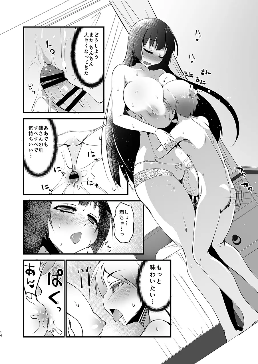 巨乳のお姉ちゃんは好きですか?DUO Page.14