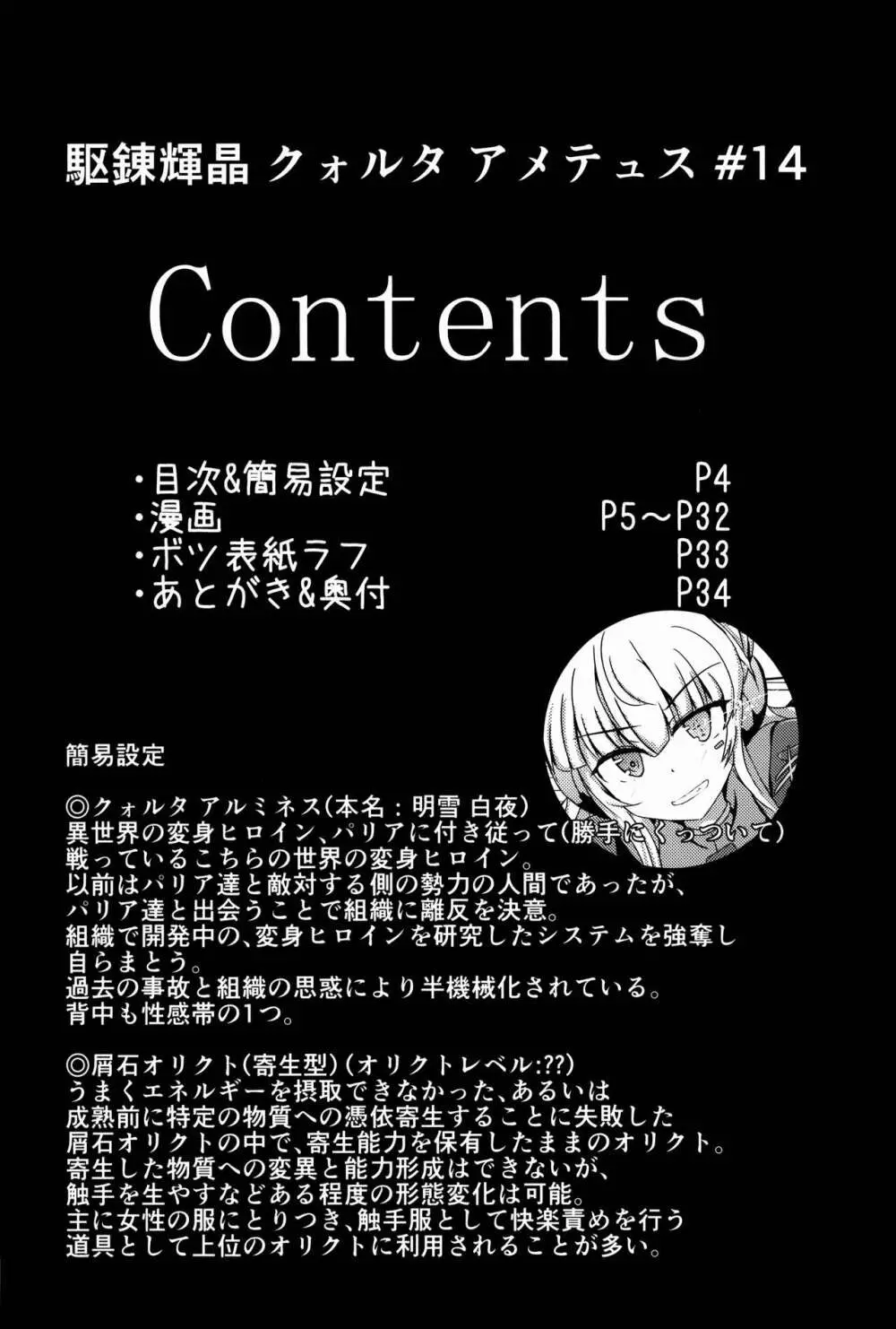 駆錬輝晶 クォルタ アメテュス #14 Page.4