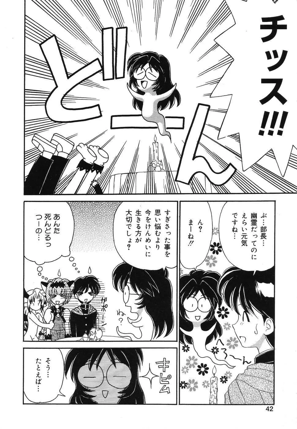 ぴゅあぷちっと Vol.2 Page.43