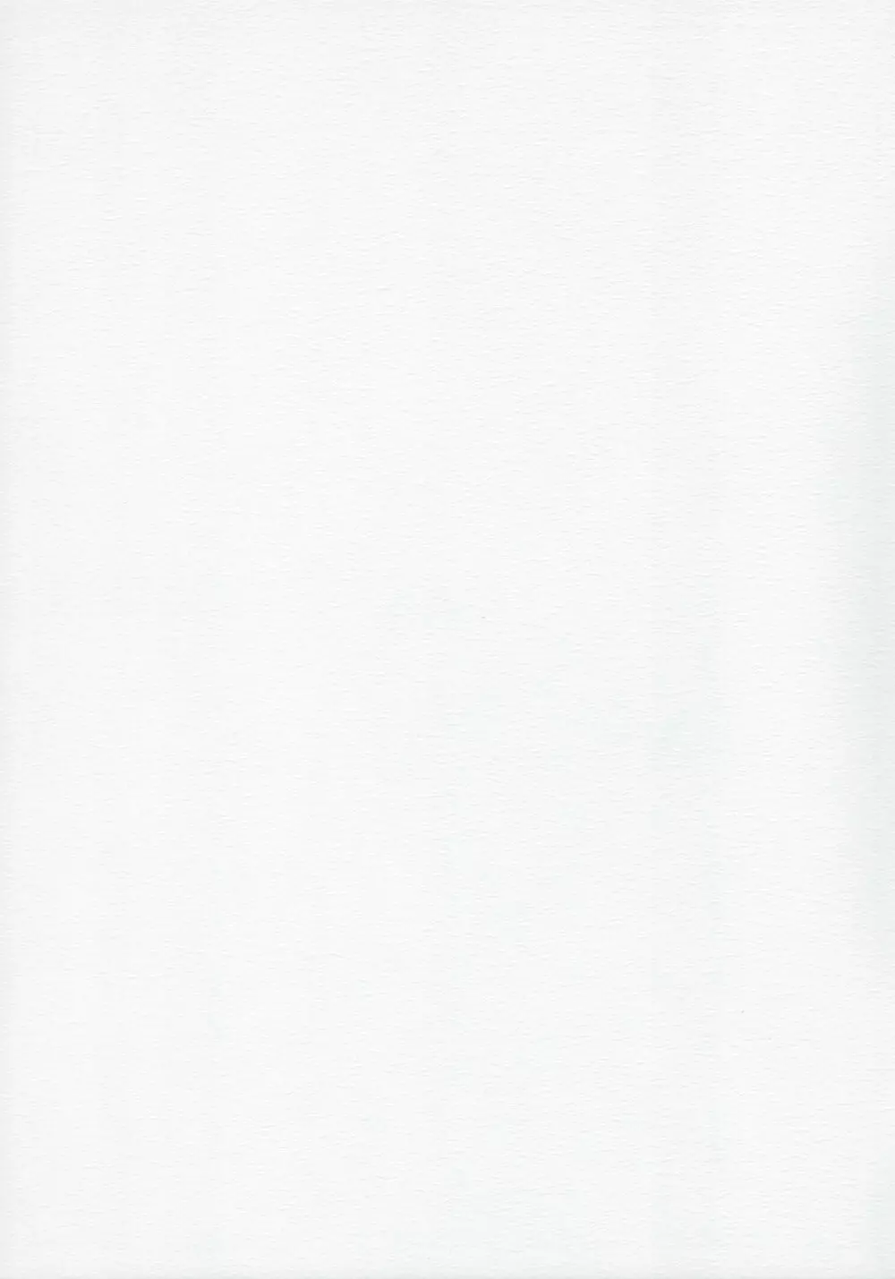 EXPANSION Page.2