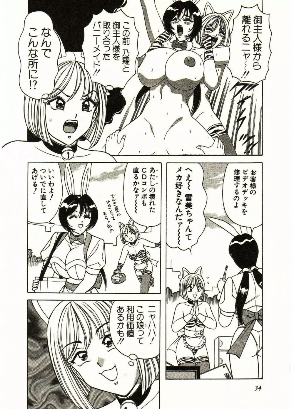 愛しのバニーメイド Page.34
