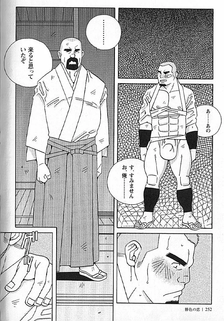 勝色の恋 Page.251