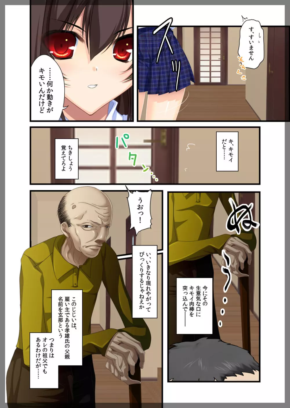 自宅警備員~熟れた未亡人 葛木翔子 編~ Page.11