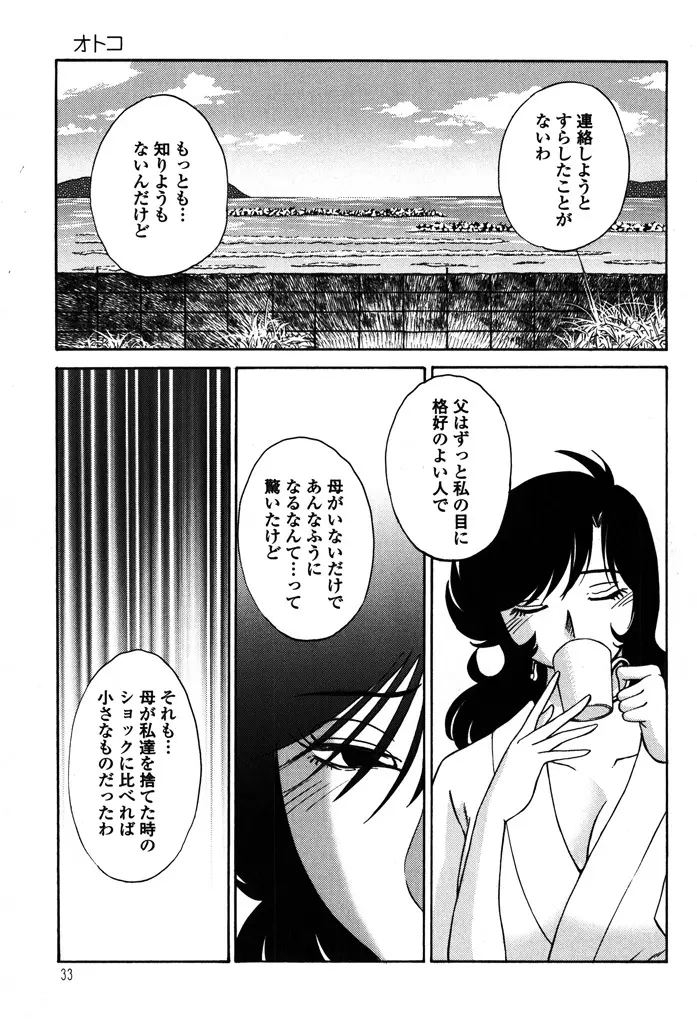 ものかげのイリス 2 Page.35