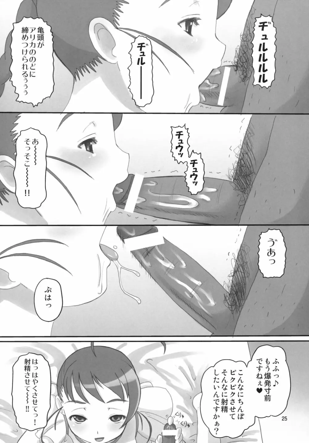 乙属性 Page.24