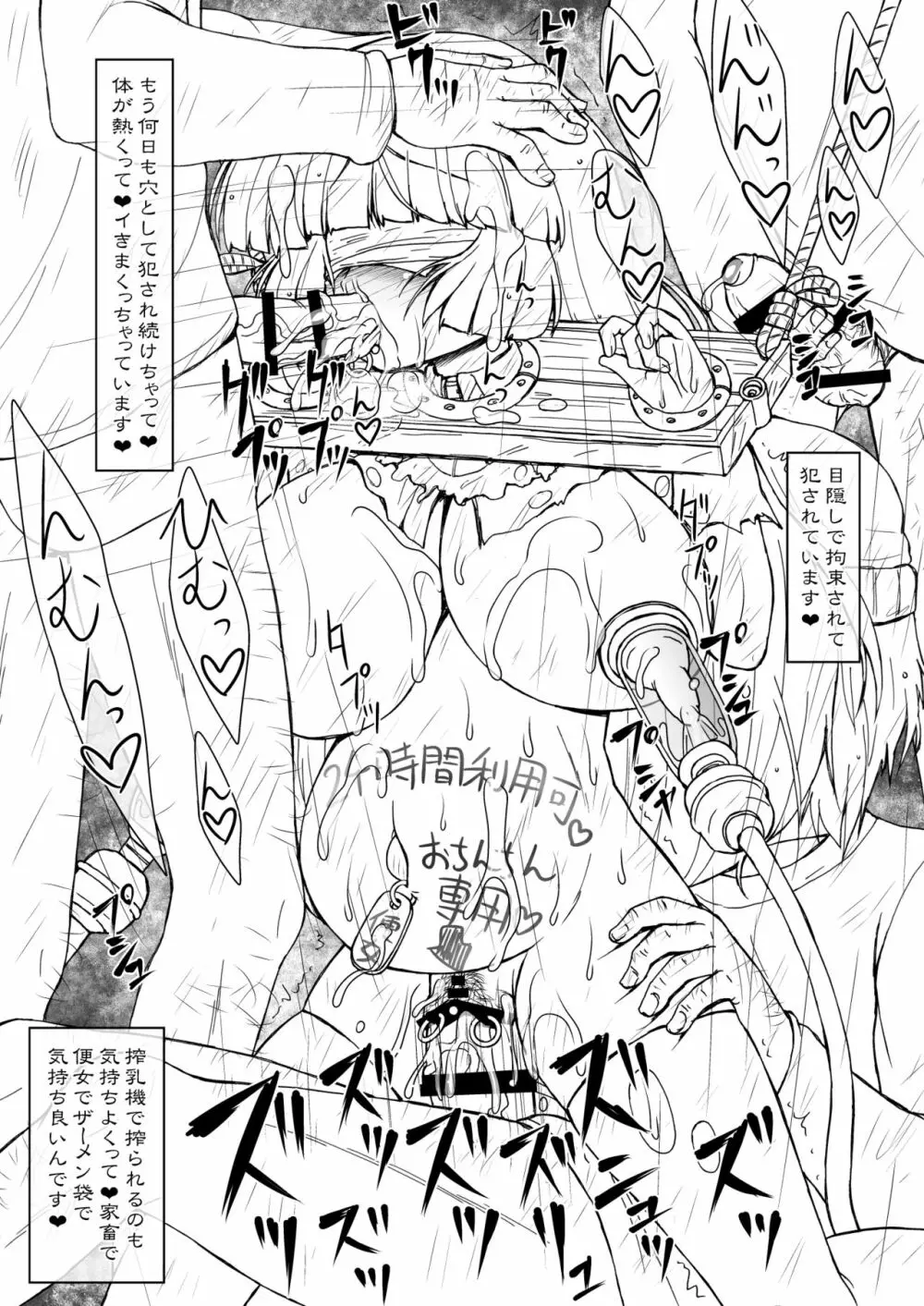 姫・淫女快楽モルモット Page.9