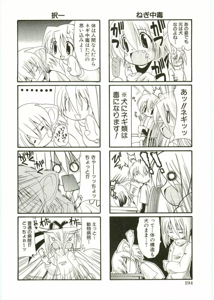 ショタ狩りVOL.1 あぶないお姉さん Page.196