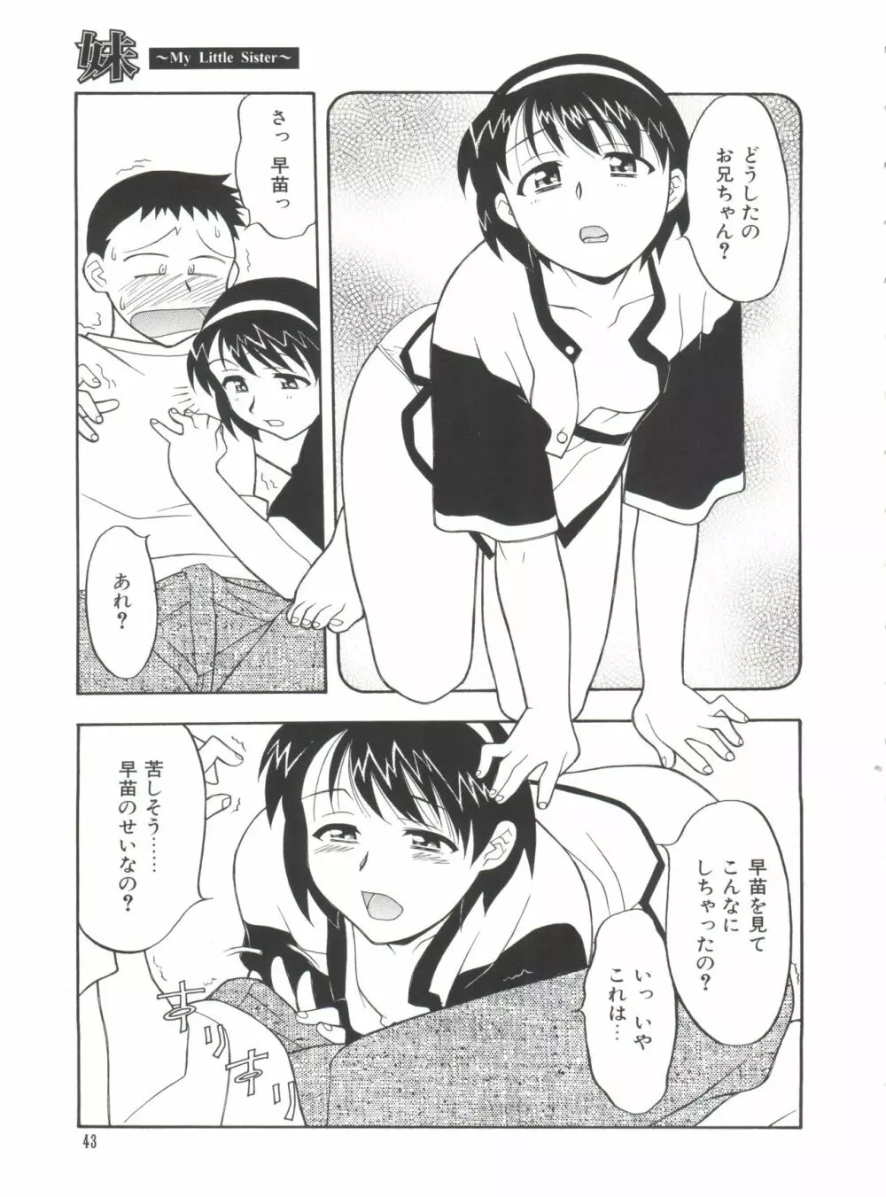 妹 My Little Sister Page.46