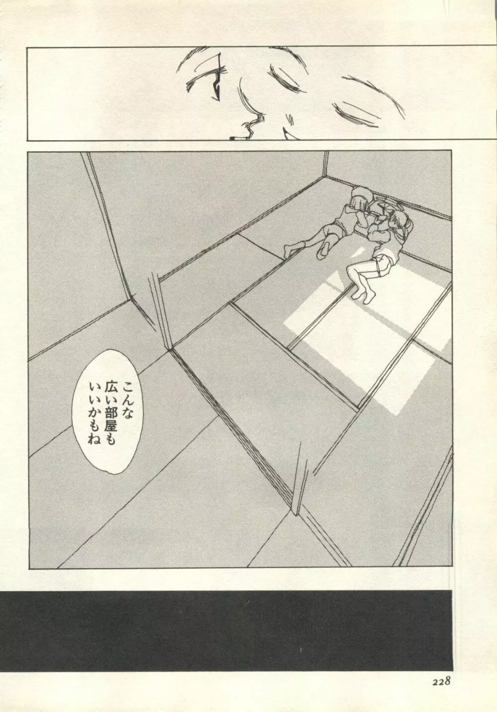 パイク Pai;kuu 1999 July Vol.20 文月 Page.229