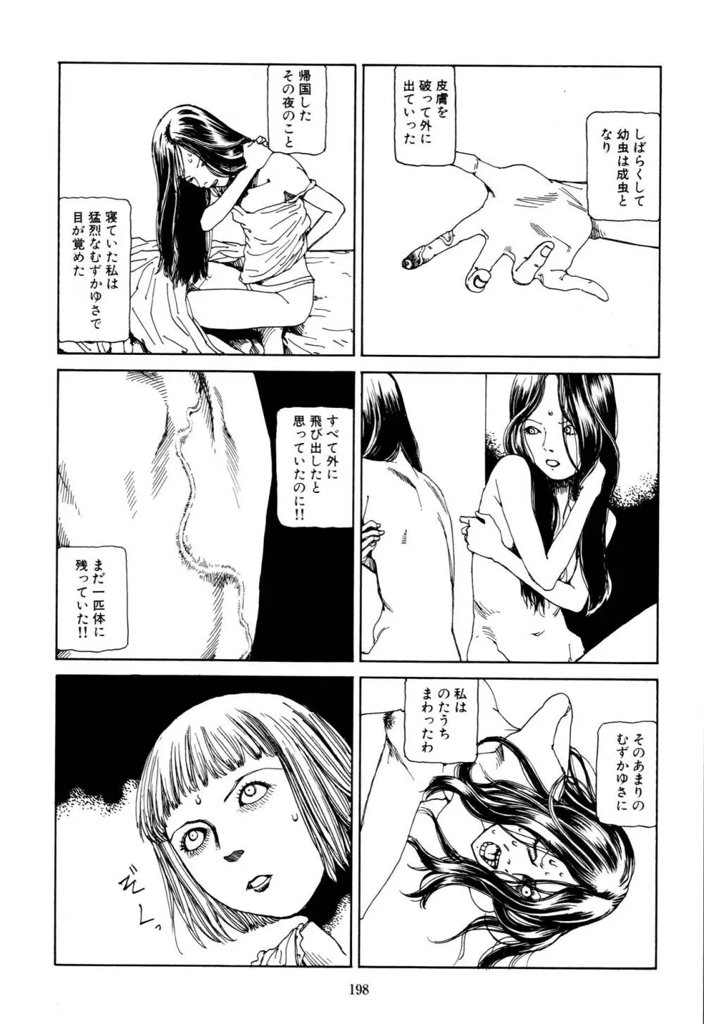 フラクション Page.196