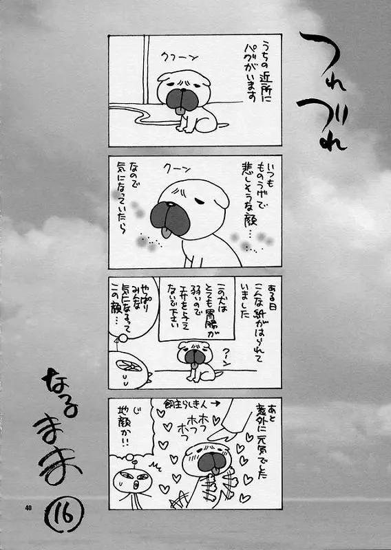 ゆきやなぎの本10 ワルキューレの密かな楽しみ Page.41