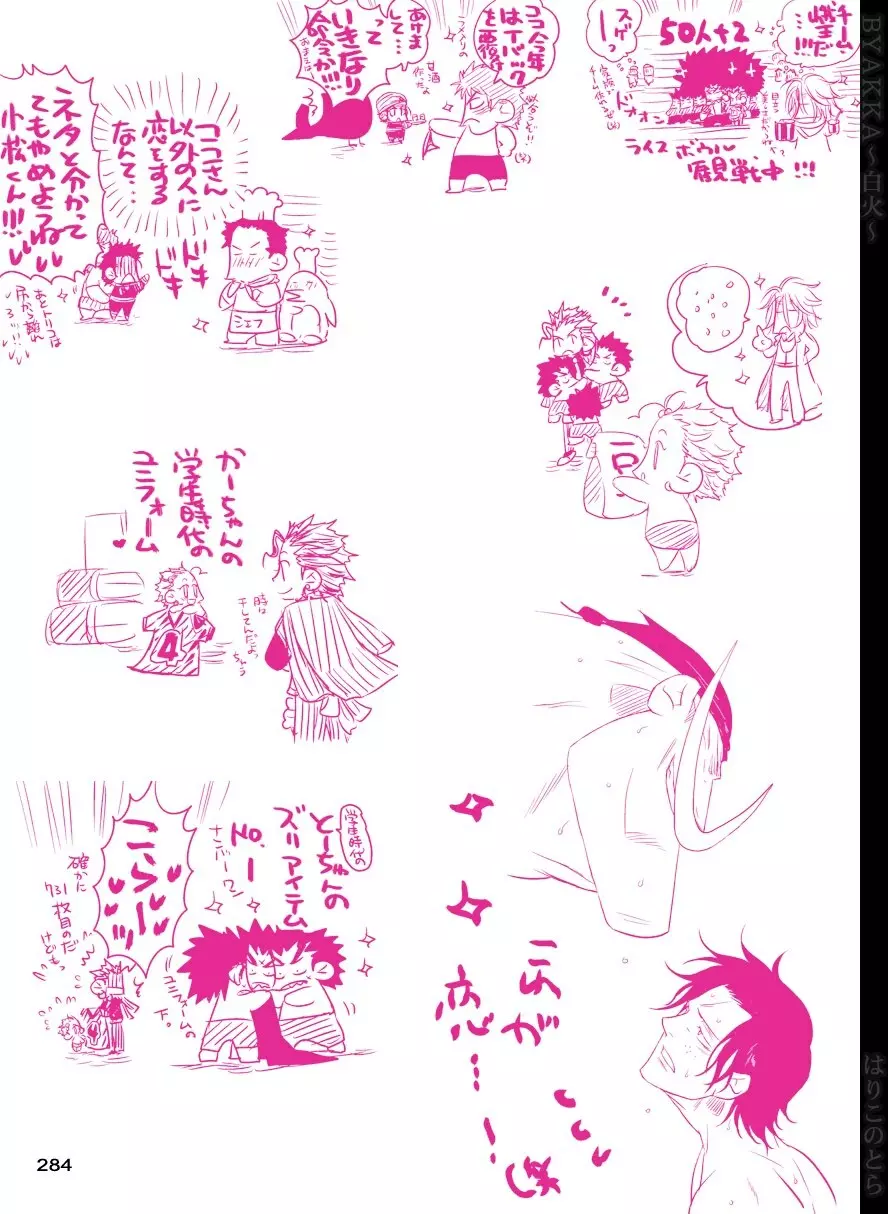 白火 Page.285