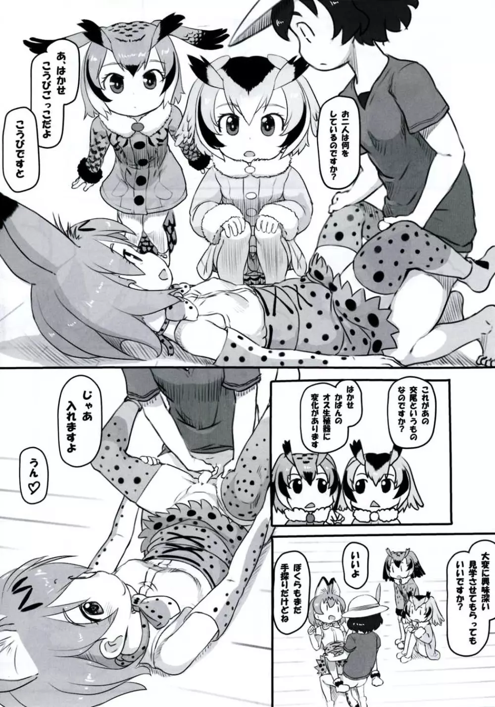 こうびのしかたをおしえて Page.11