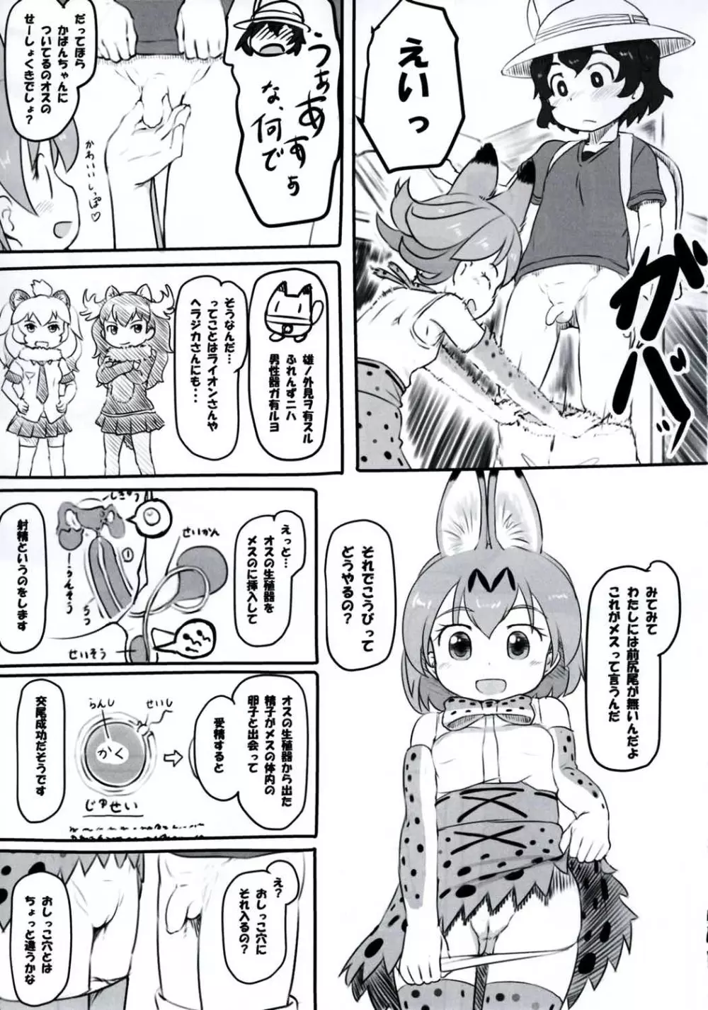 こうびのしかたをおしえて Page.4