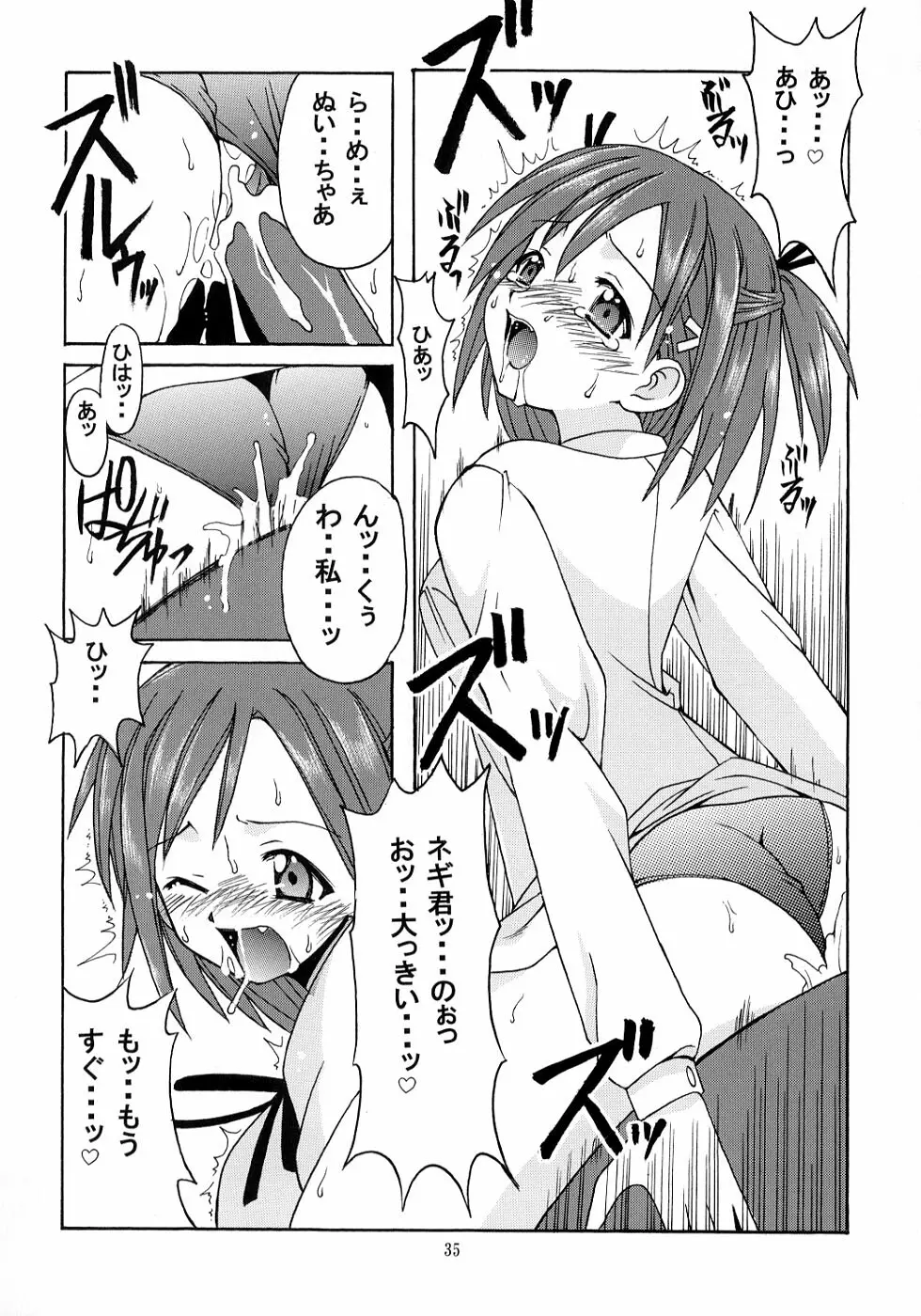 ネギ先生と賢者のブルマ Page.34