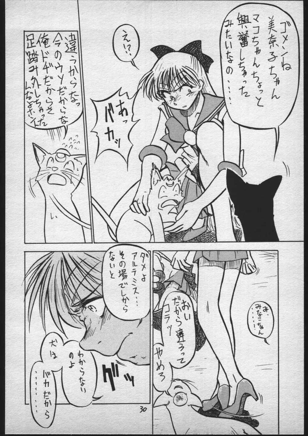 V.ヘラ 1号 Page.29