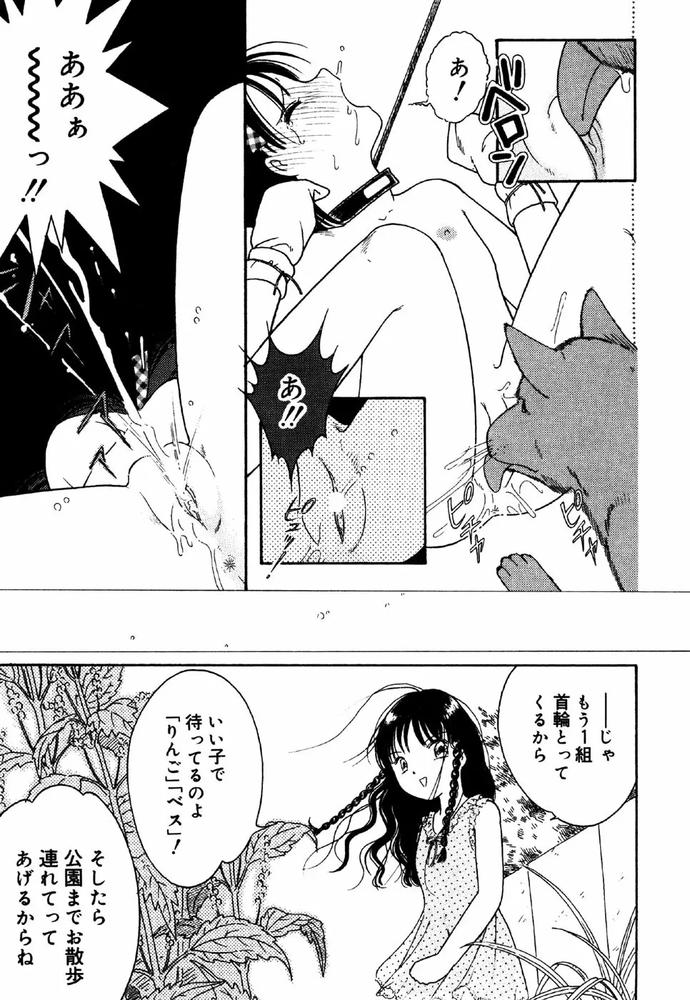 リトルピアス Vol.24 Page.85