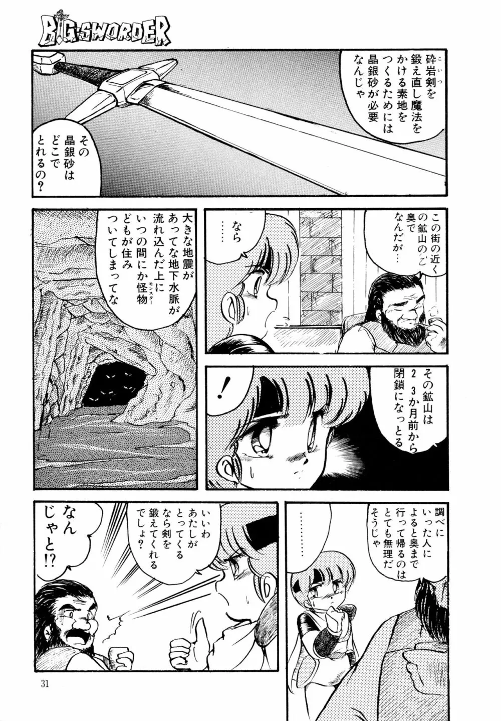 BIG・SWORDER Page.30