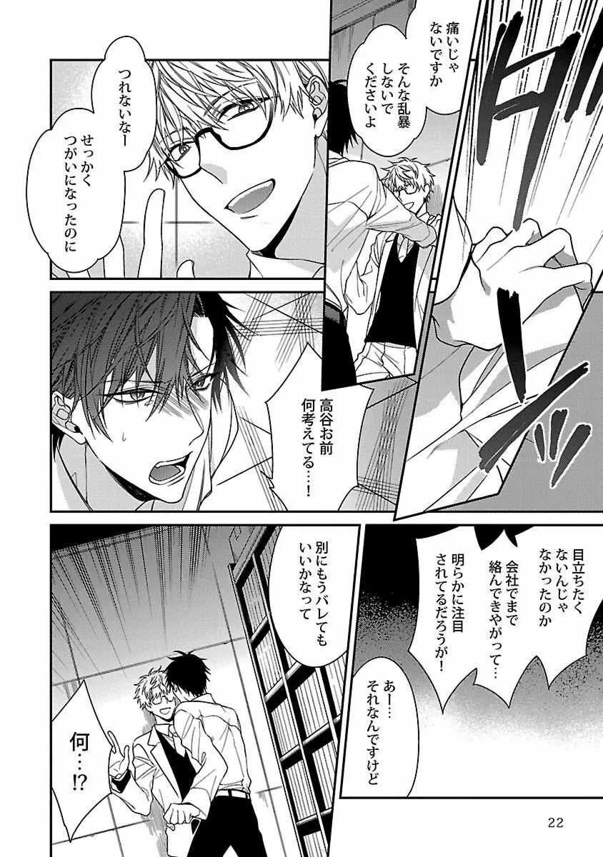 俺の嫌いなつがい様 Page.24