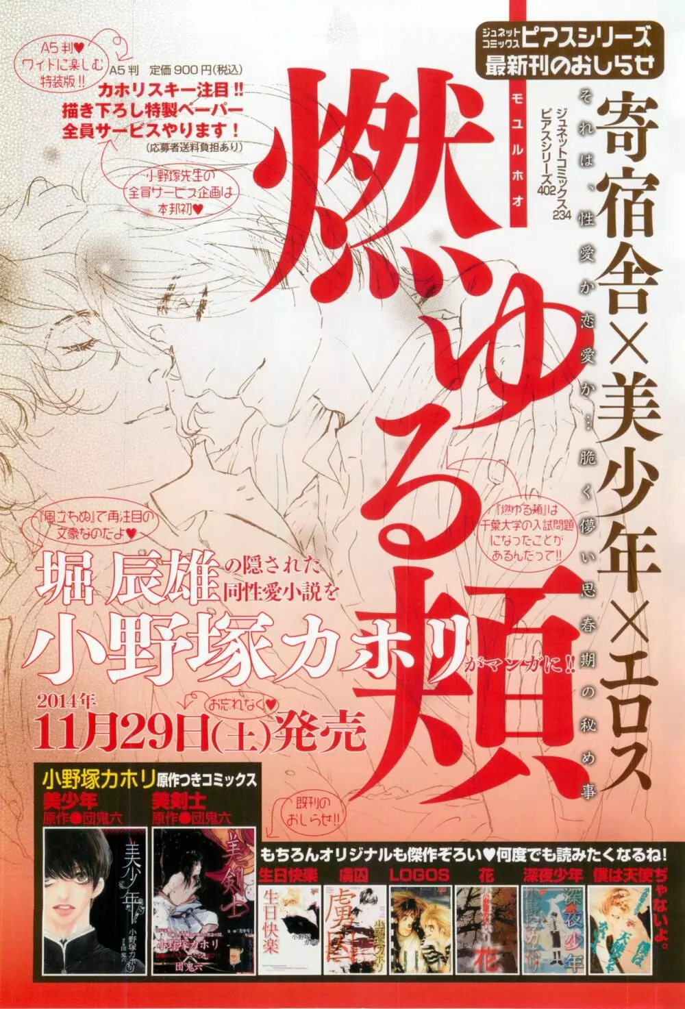 ボーイズピアス 2014年11月号 Page.234