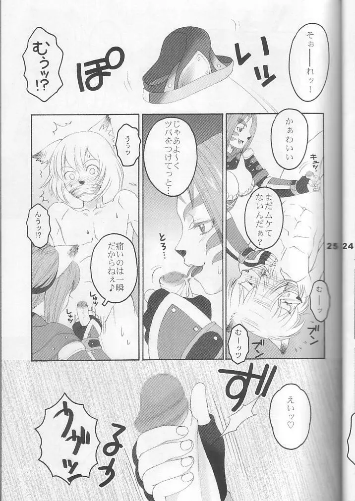 ミスラを愛でる本3+1 Page.25