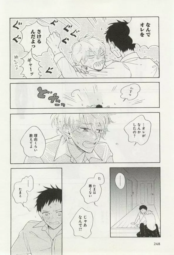 よみきりCitron 2014 Autumn Page.250