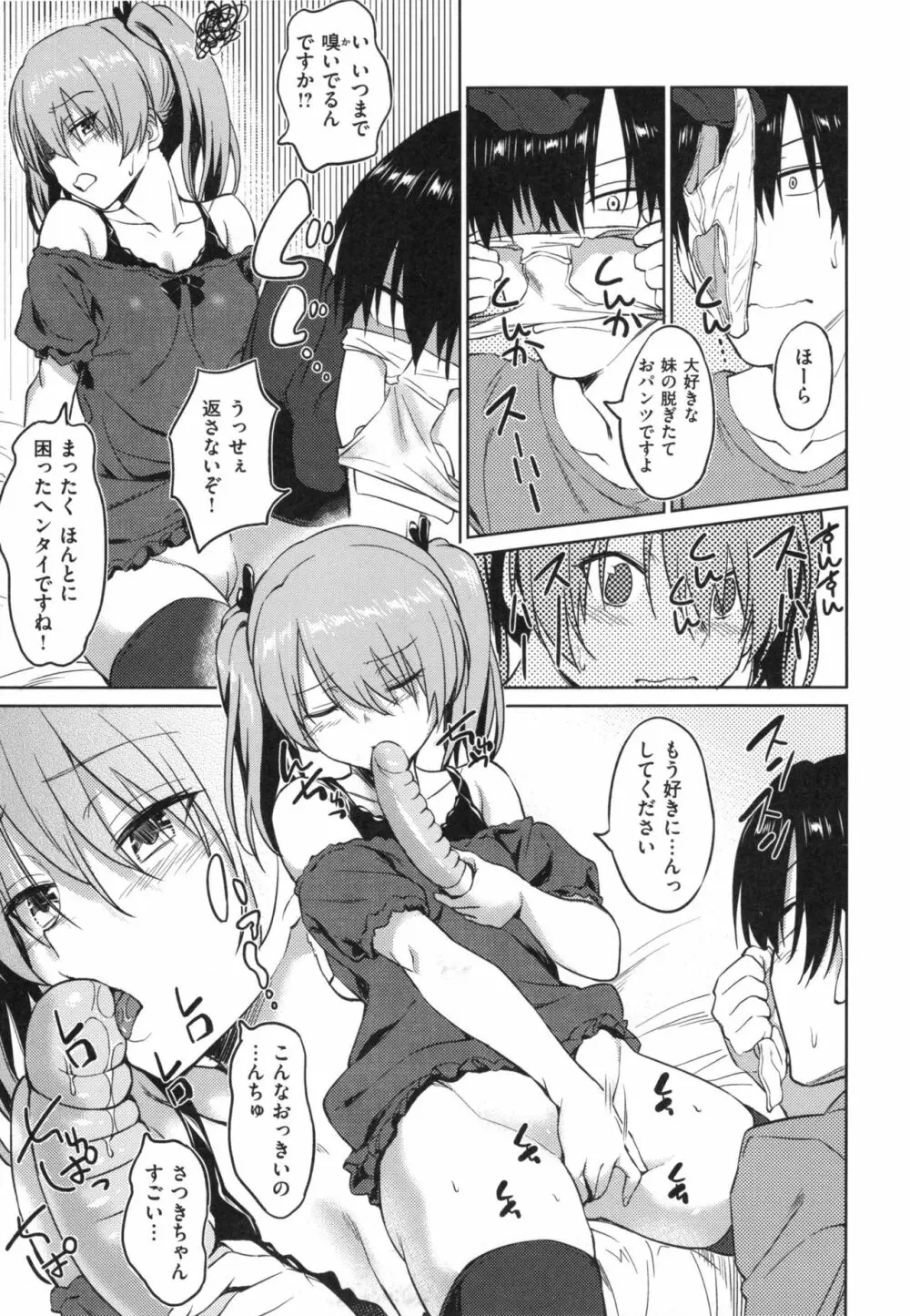 パコラッシュ！ + とらのあなリーフレット Page.12