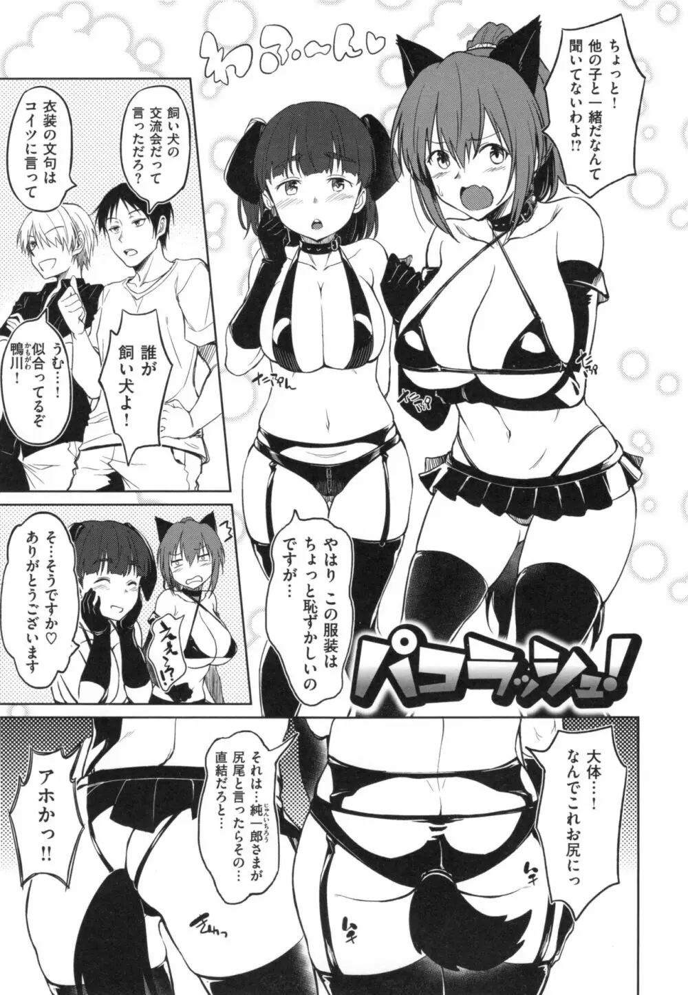 パコラッシュ！ + とらのあなリーフレット Page.224