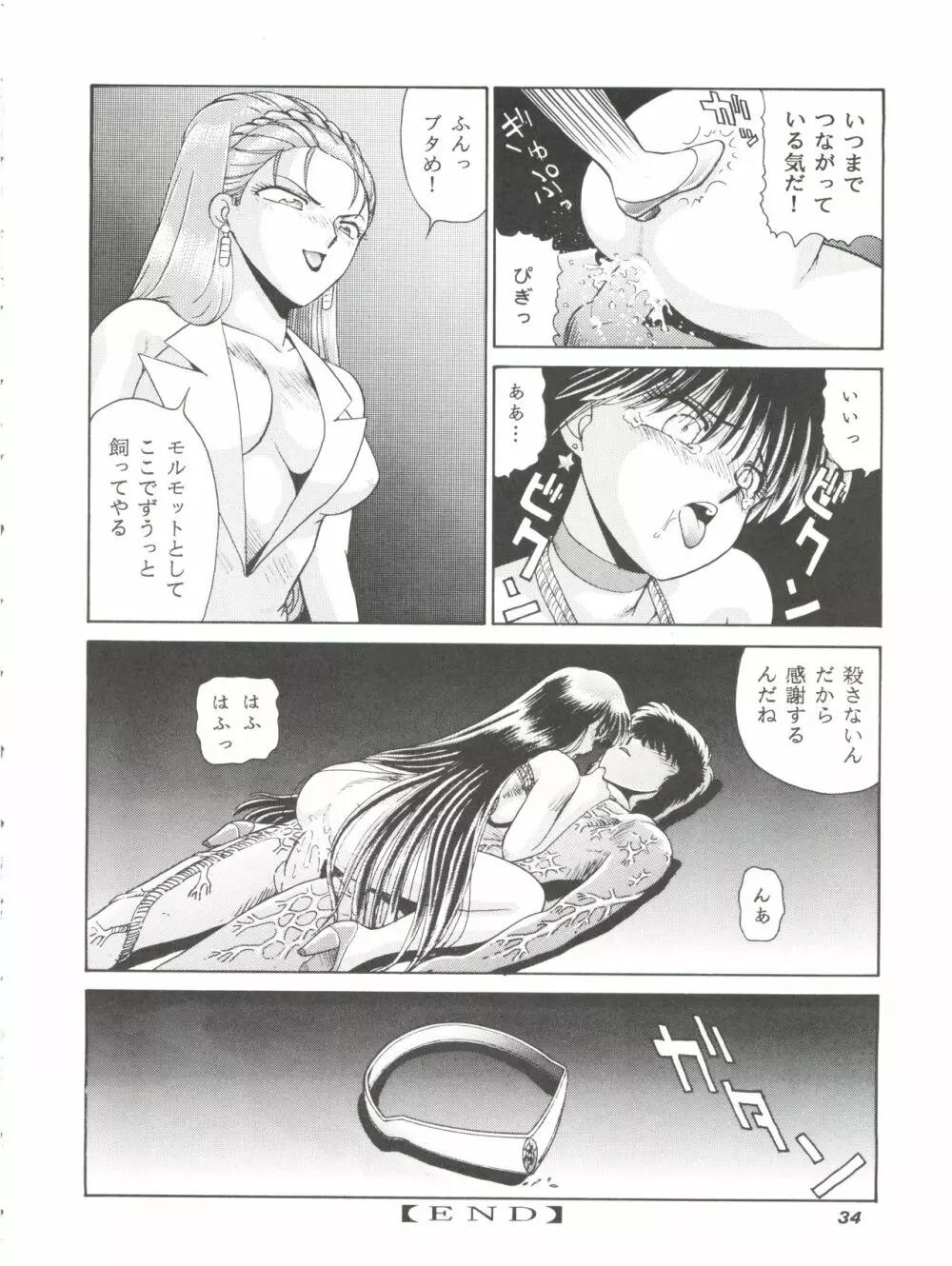 縄縛麗嬢 4 Page.33