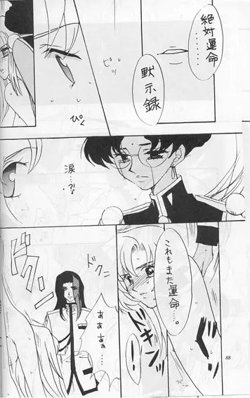 Model 8 Page.24