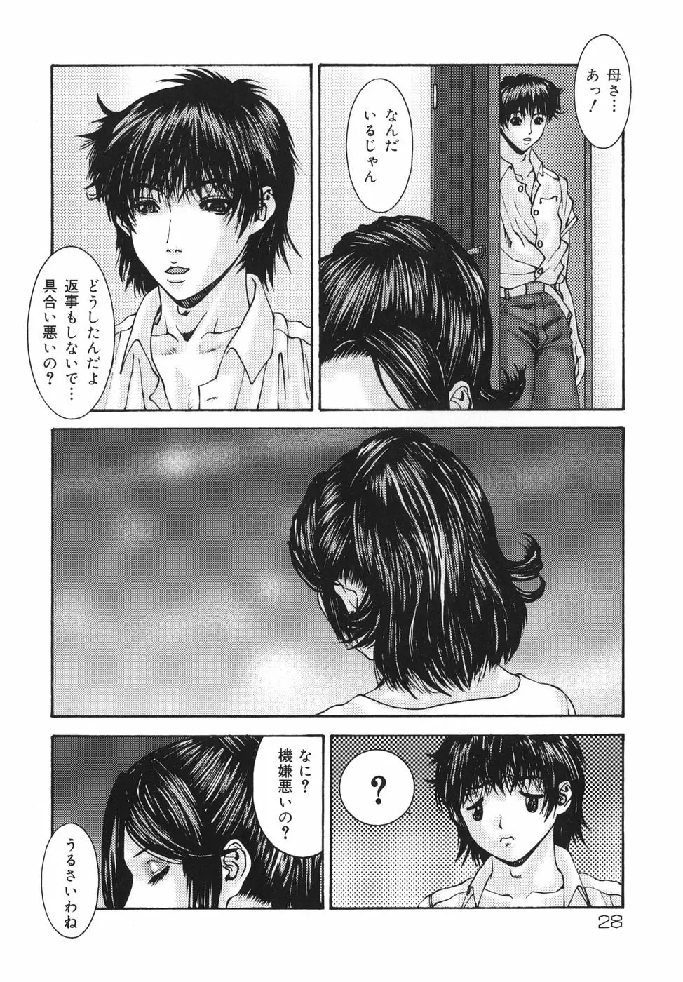 親密 ～艶母たちの秘愛相姦～ Page.28