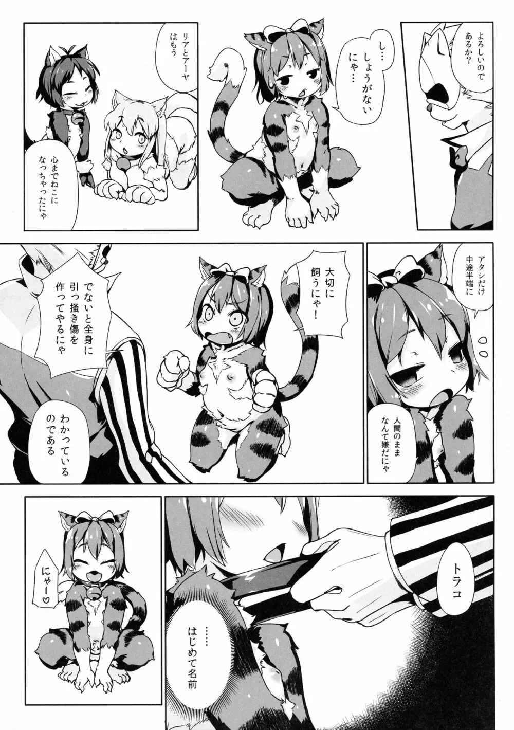 ねこ堕ちシャインフェアリーズ Page.39