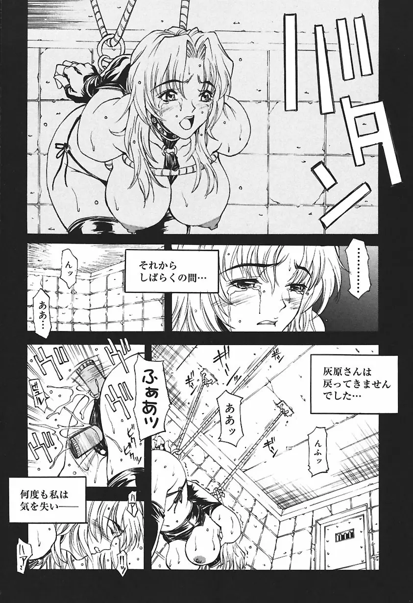 凌辱綴り ～彼女達の日記帳～ Page.28