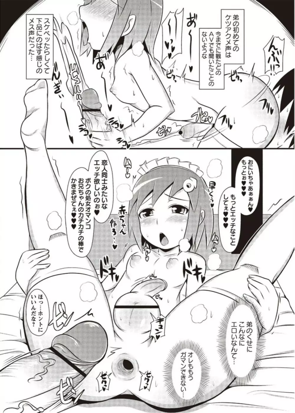 コミック・マショウ 2011年11月号 Page.244