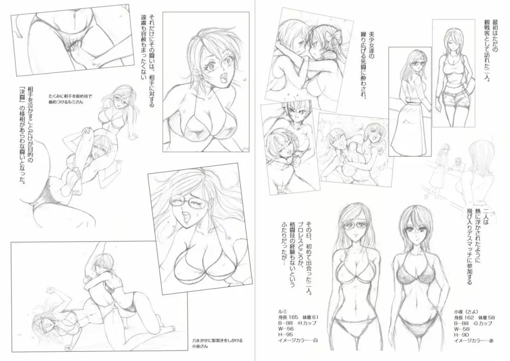 萌えレス15 飛び入りデスマッチ 小夜vsルミ ＜後編＞ Page.2