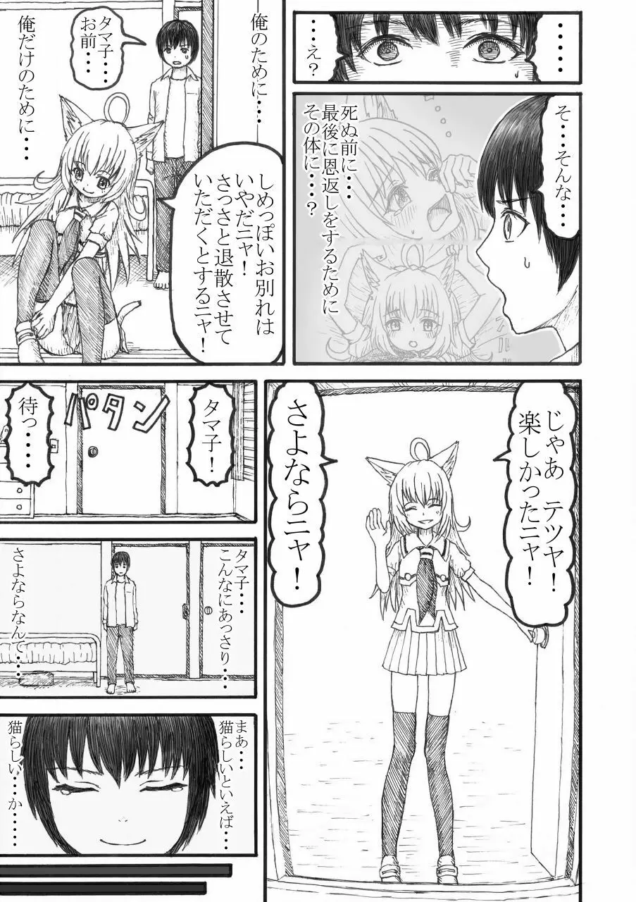 化け猫の恩の返し方 Page.26