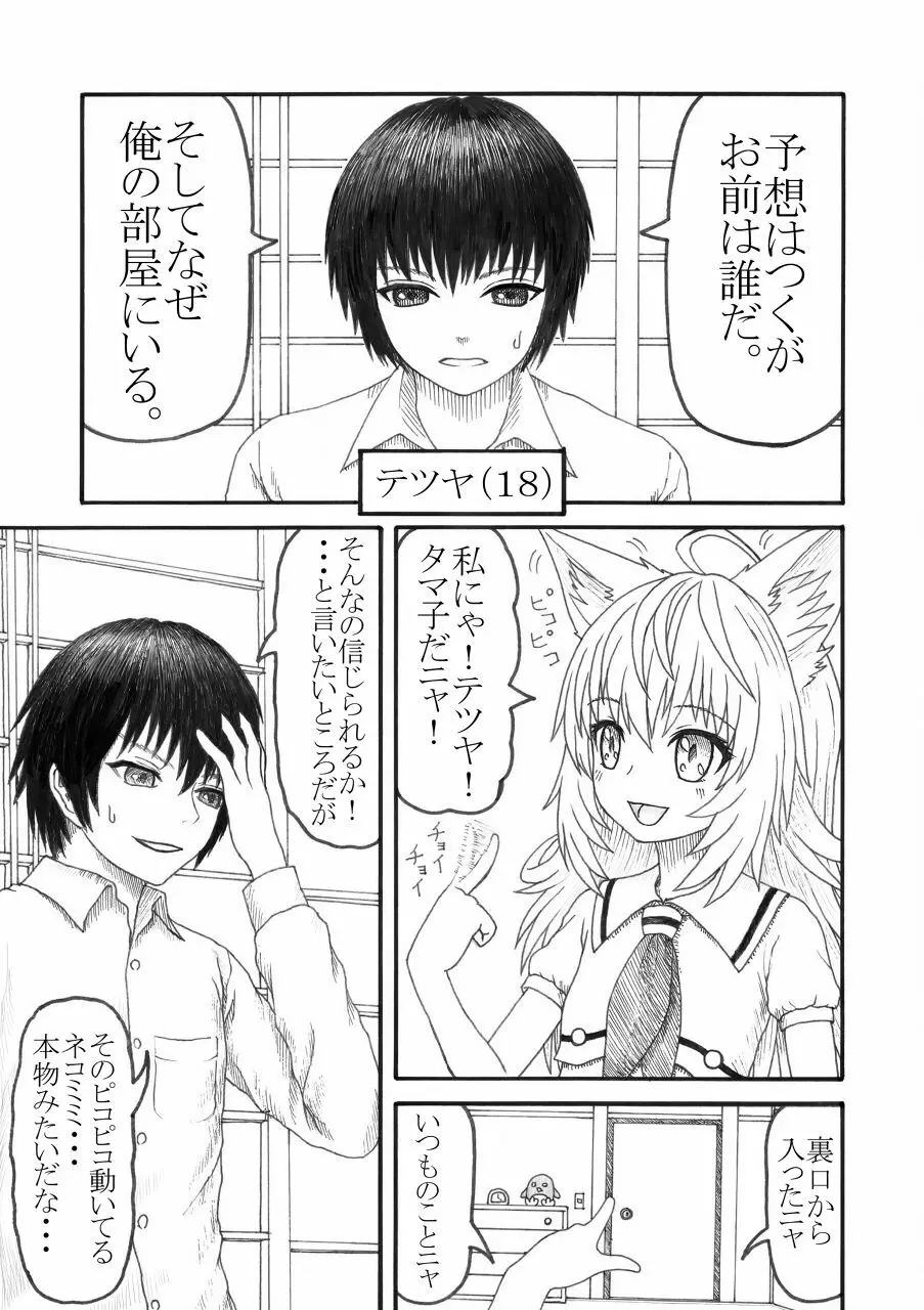 化け猫の恩の返し方 Page.4