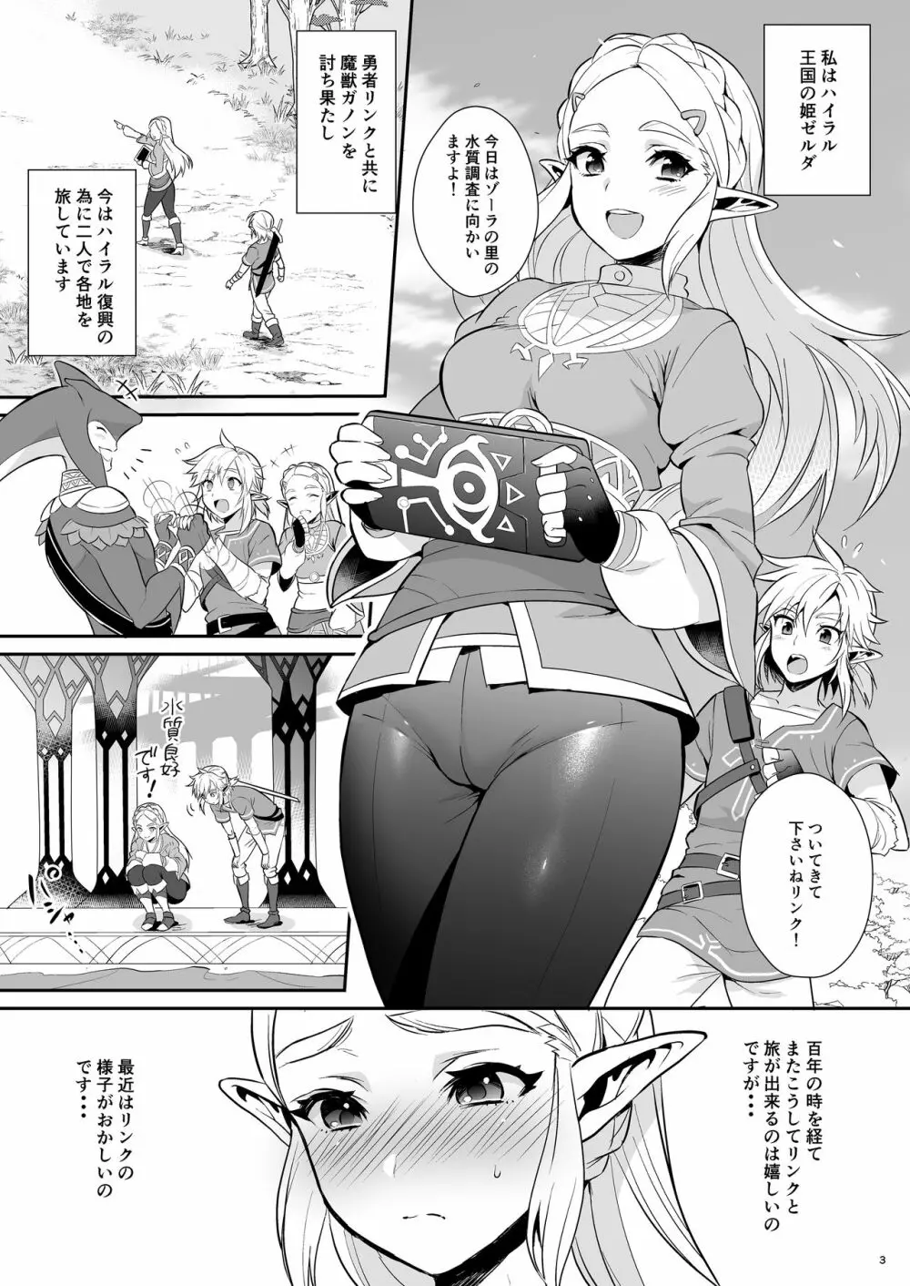 ハイラル繁栄のためのかつどう! Page.4