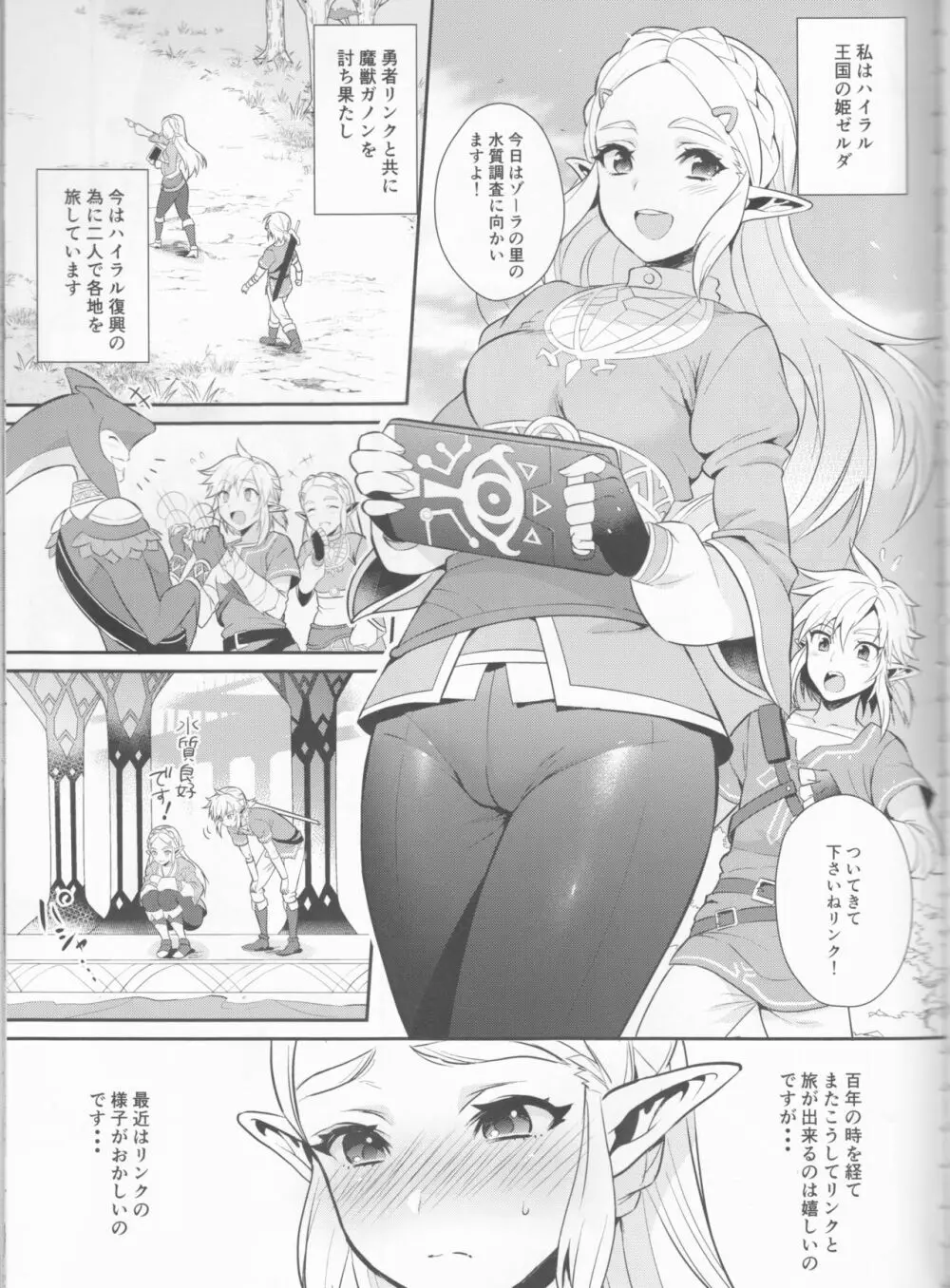 ハイラル繁栄のためのかつどう! Page.4