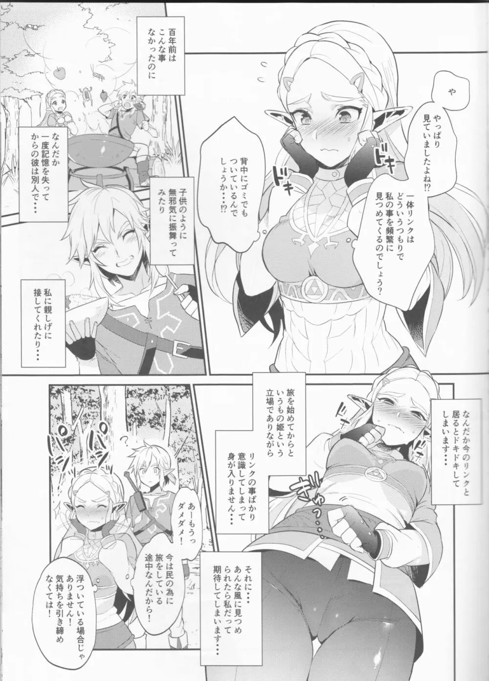 ハイラル繁栄のためのかつどう! Page.6