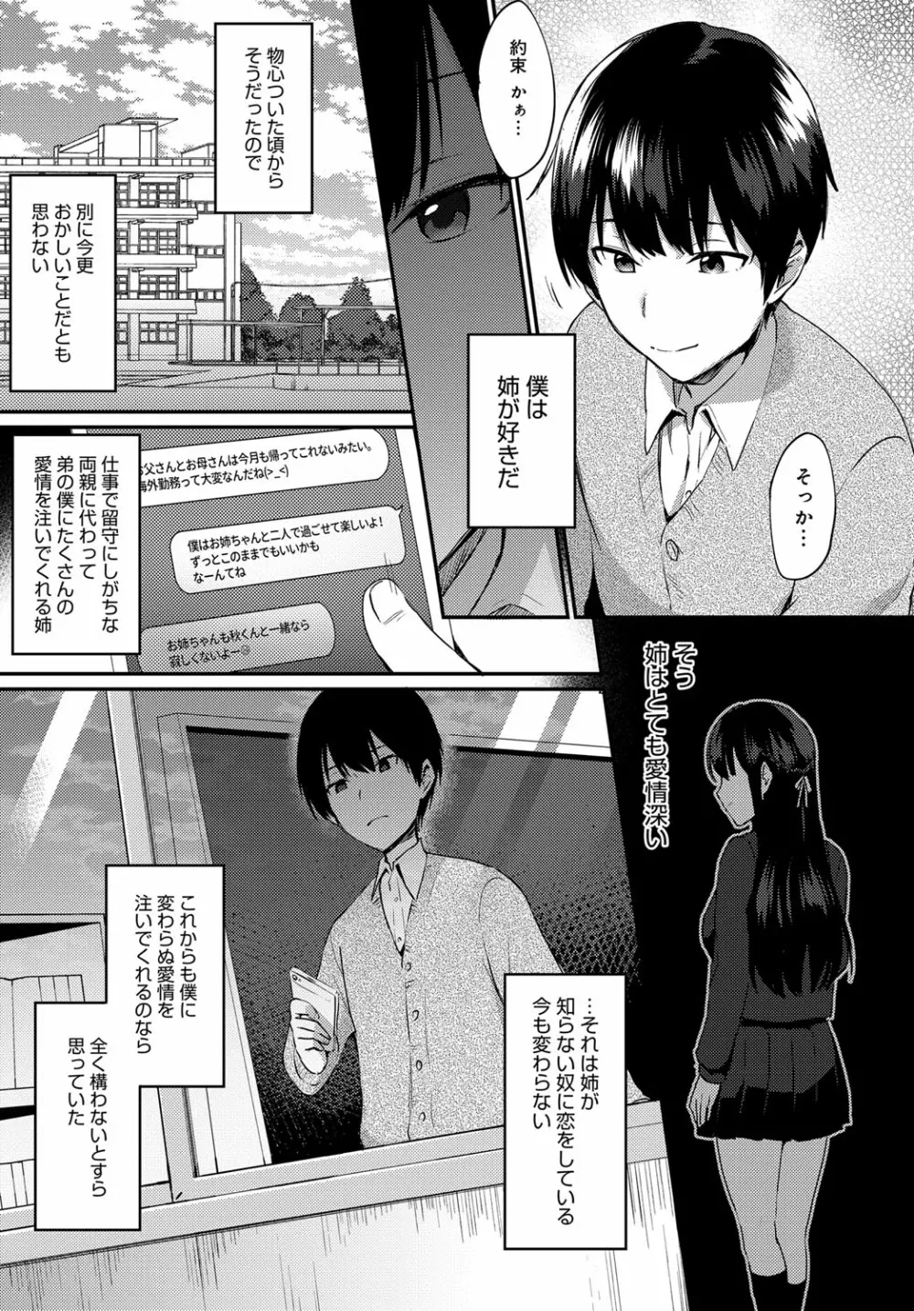 姉が恋をしたらしいので Page.3