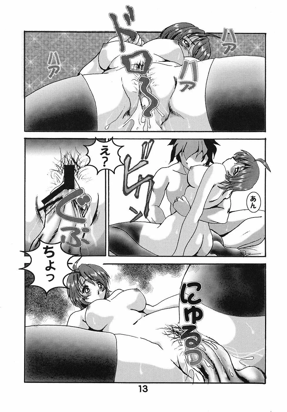 HOHETO 31 Page.12